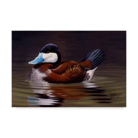 Trademark Fine Art Wilhelm Goebel 'Ruddy Duck' Canvas Art, 12x19 ALI33795-C1219GG